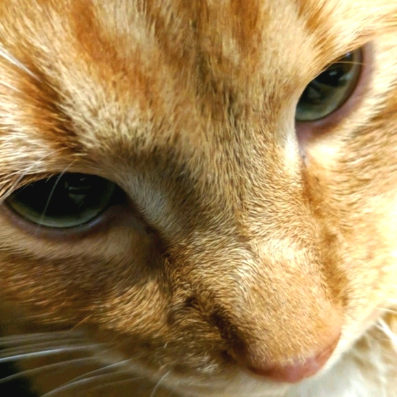 Mimi  ⭐  Poshmark Ambassador - Picture 2 of 5